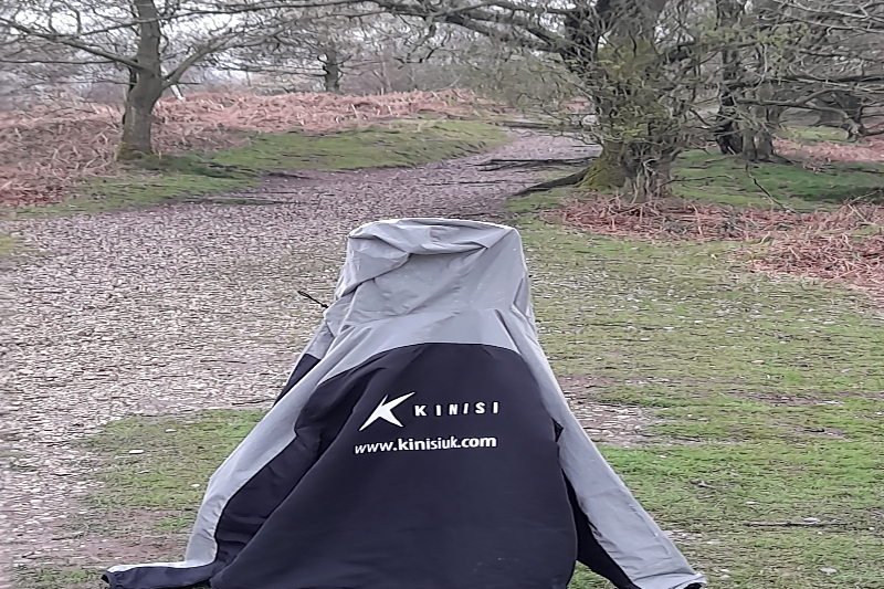 blog